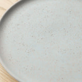 11" Plato Liso_La Chicharra_201-50-0885-736LITGRYOS | Obakki