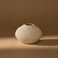 Vases Orb Vase | White Lichen from Obakki