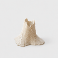 Barnacle Candle Holder | Single