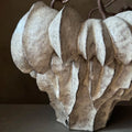 Vases Vase no. 5 from Obakki
