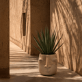 Glazed Clay Planter | Cara