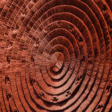 Barro Aztec Calendar Wall Hanging - Wall Hangings by Caralarga | Obakki