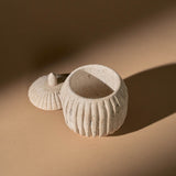 Beta Box | Travertine Decorative Bowls Ayres Obakki