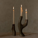 Candle Branch Candle Holders EnCrudo Obakki