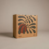 Japanese Gift Box - The Meditation Set Incense Japan Incense Obakki