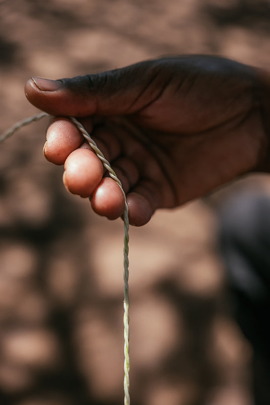 Hand holding a thin branch against a blurred natural background