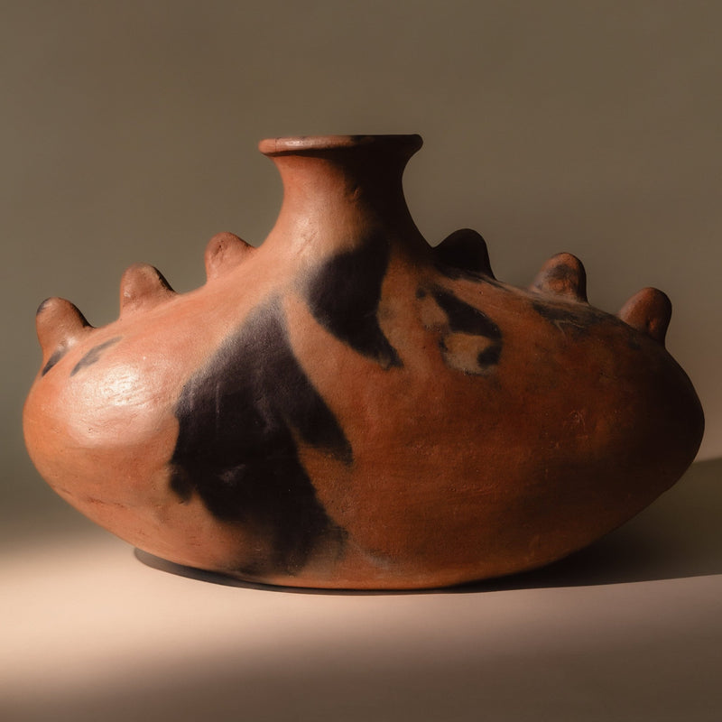 Lagarto Cococha Clay Vase Vases Mano De Tierra Obakki