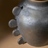 Oaxacan Clay Arowana Vase Rufina Obakki