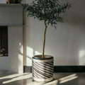 Striped Planter Baskets_AC Palma_201-30-1680-151Black/Natural StripesMedium | Obakki
