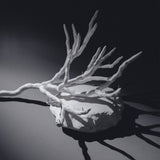 Branch Candelabra III - Sculptures by Isac Kaid | Obakki