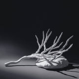 Branch Candelabra III - Sculptures by Isac Kaid | Obakki