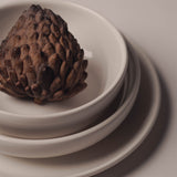 Flat Dinner Plate | Set of 2_R+D.Lab_201-54-0395-158Ocher Tan2Set | Obakki