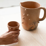 Spiked Pico Pitcher Drinkware Julio Martinez Diaz Obakki