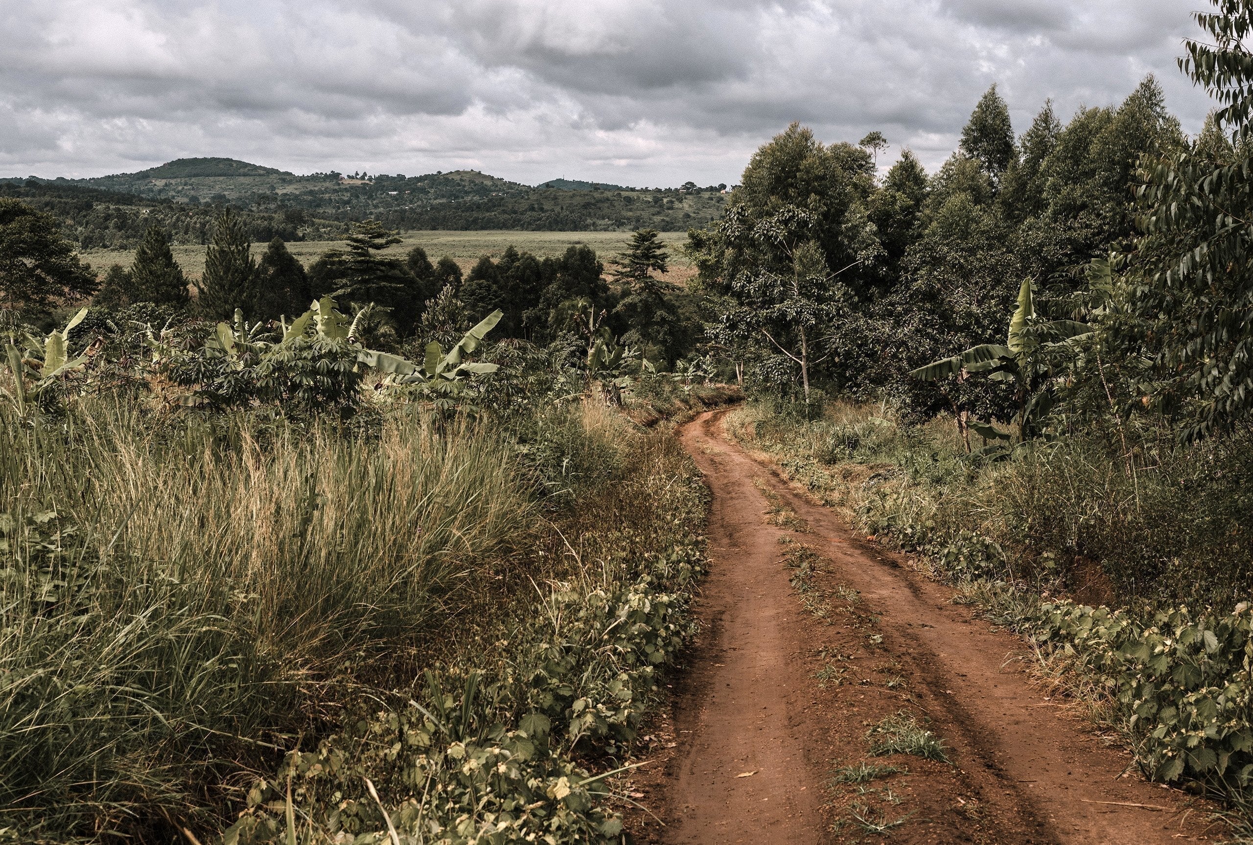 ARE YOU LIVING INTENTIONALLY? - Obakki