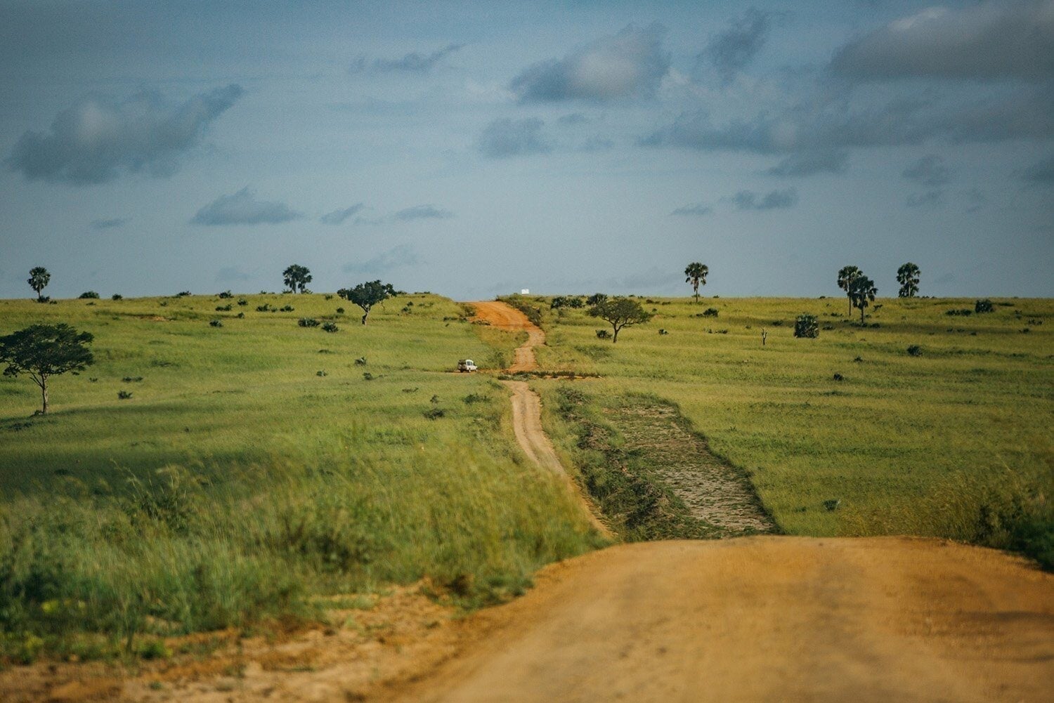 Notes from the Field: Africa - Obakki