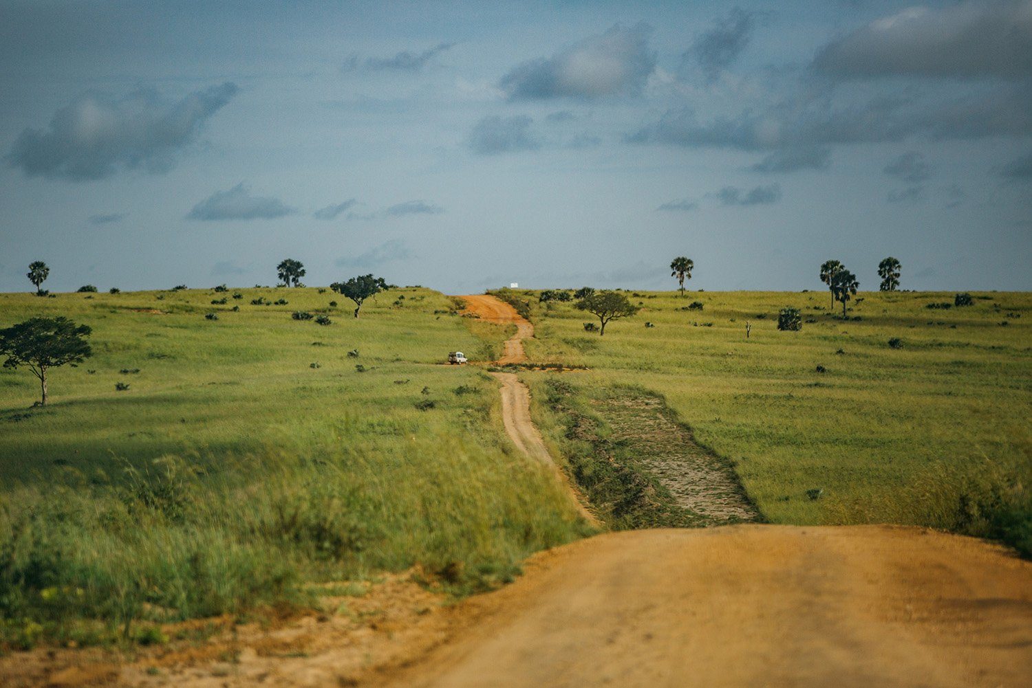 Notes from the Field: Africa