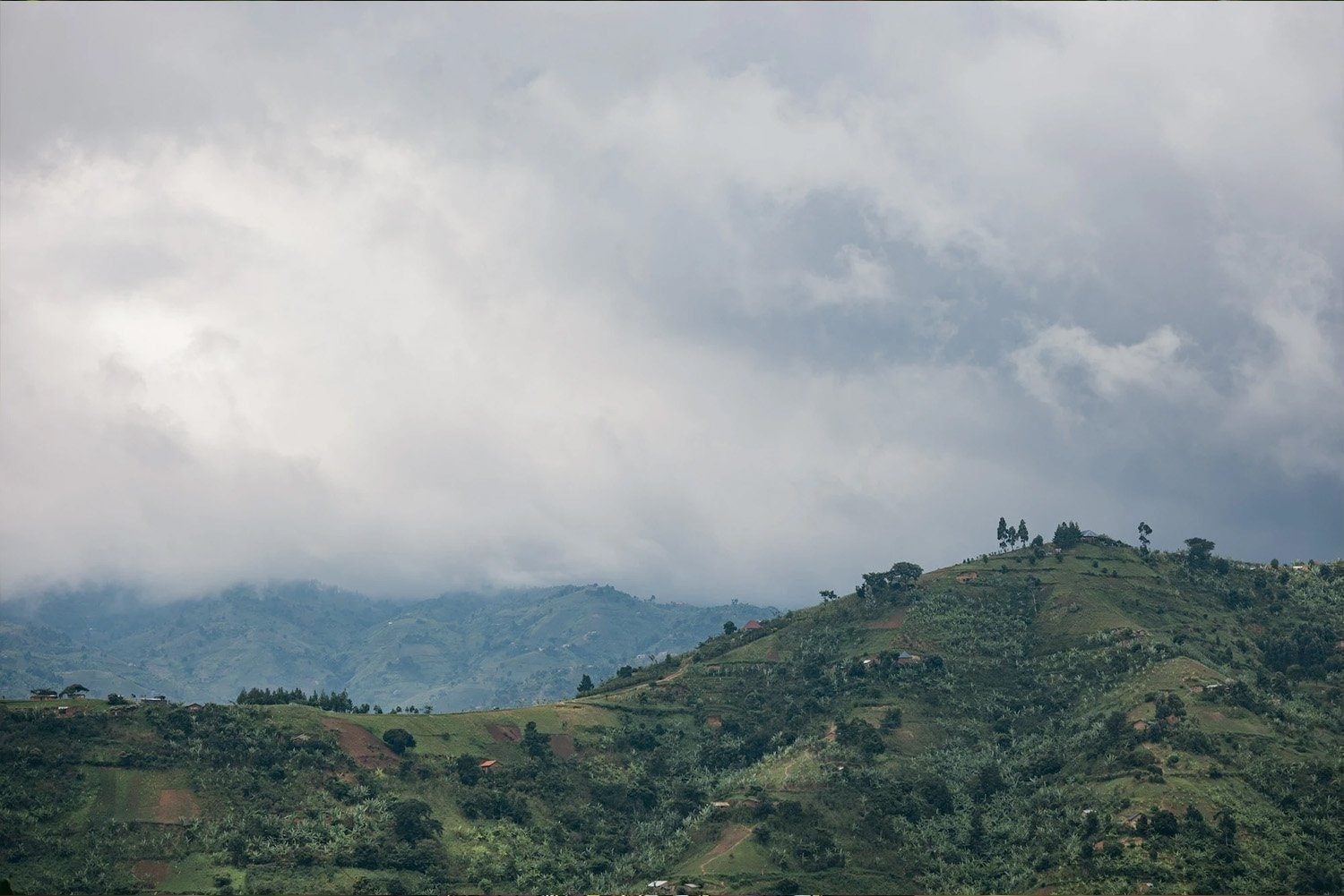 Notes from the Field: Kenya  - Obakki