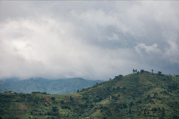 Notes from the Field: Kenya  - Obakki