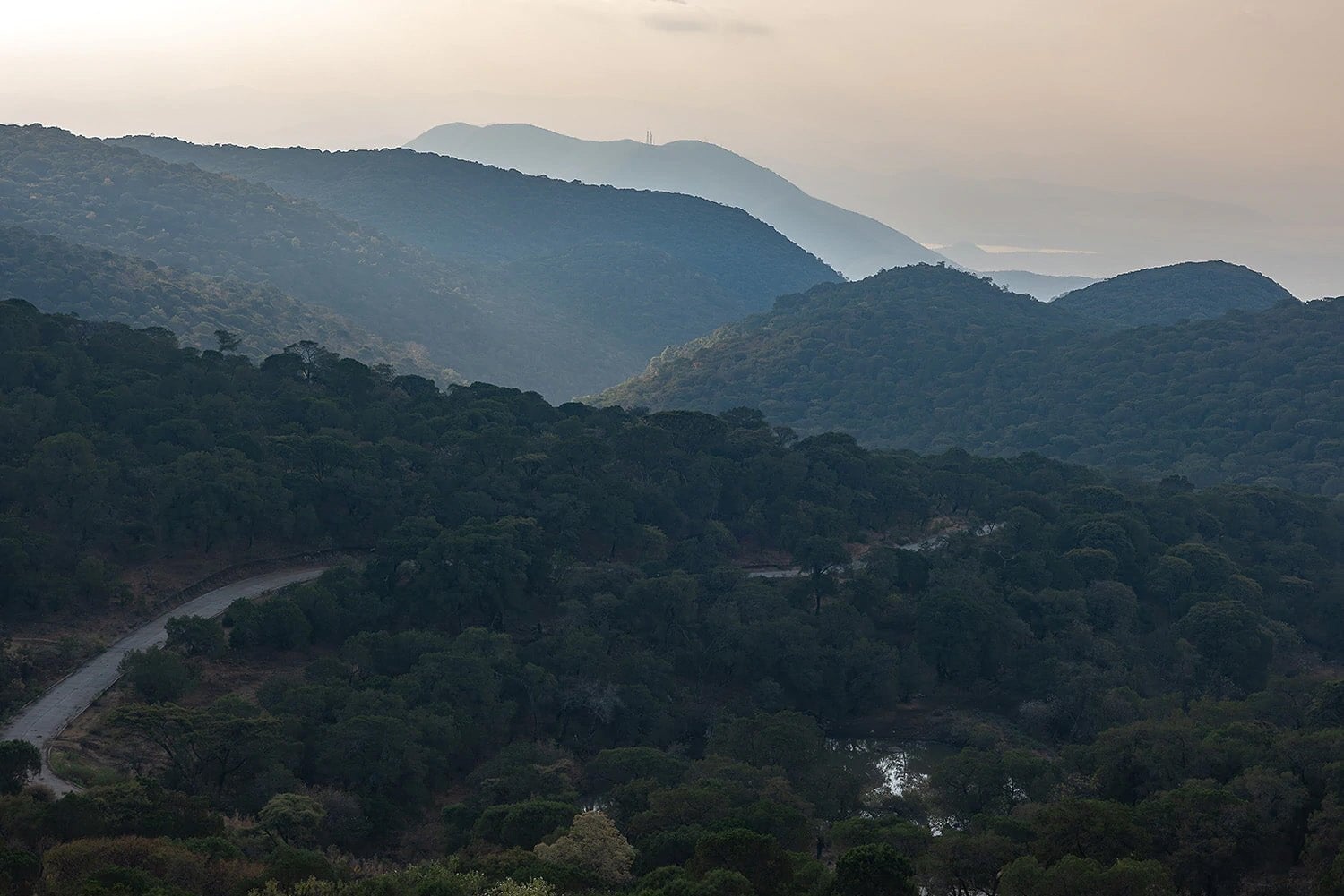 Notes from the Field: Mexico - Obakki