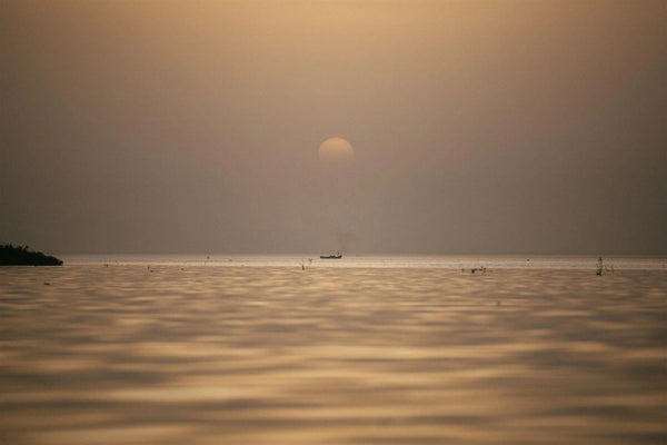 The Case for Zero Waste - Obakki