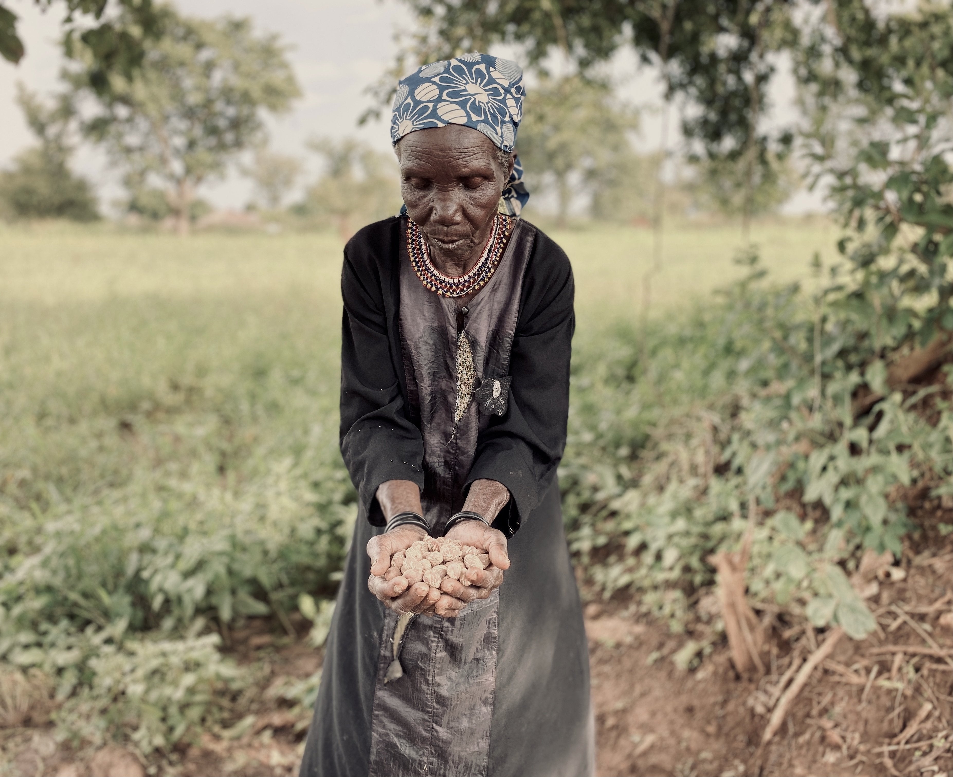 The Problem With Palm Oil - Obakki