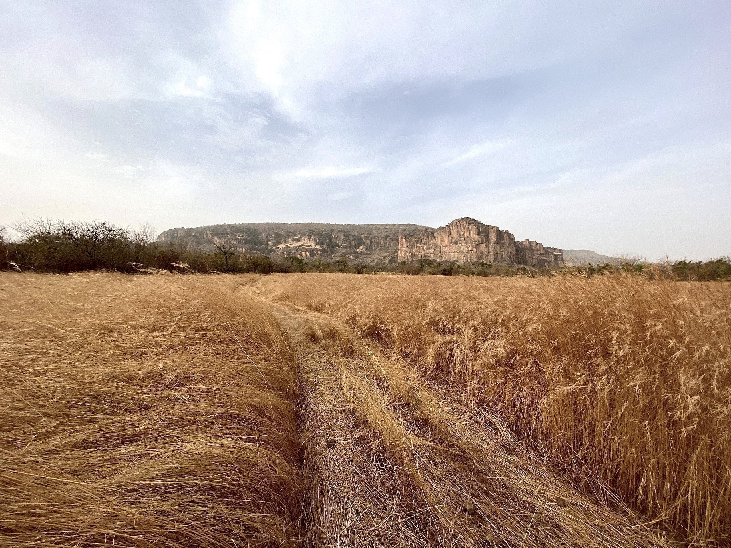 WHAT IS CONSCIOUS CONSUMPTION? - Obakki