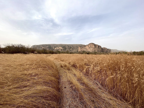 WHAT IS CONSCIOUS CONSUMPTION? - Obakki