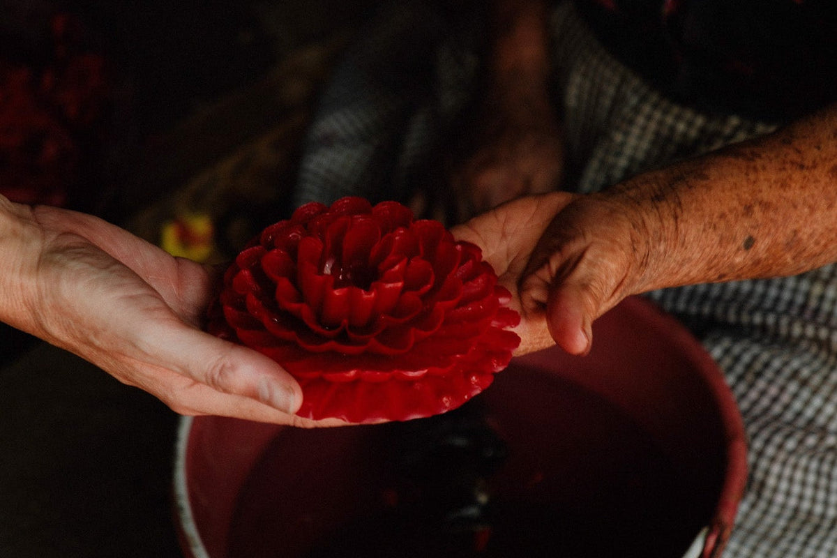 Viviana, our artisan partner in oaxaca, holds a carved red paper lantern shaped like a flower above a red bucket, with more red lanterns visible in a woven basket at the bottom.