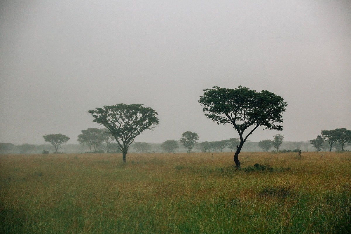 The Kenya Gift Guide - Obakki