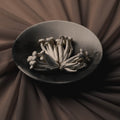 13" Minimalist Serving Bowl_Made of Australia_201-50-0737-119SmokedOS | Obakki