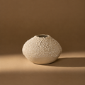 Orb Vase | White Lichen