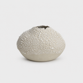 Orb Vase | White Lichen