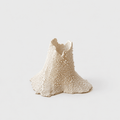 Barnacle Candle Holder | Single