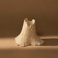 Barnacle Candle Holder | Single