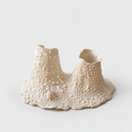 Barnacle Candle Holder | Double
