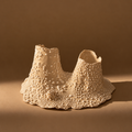 Barnacle Candle Holder | Double