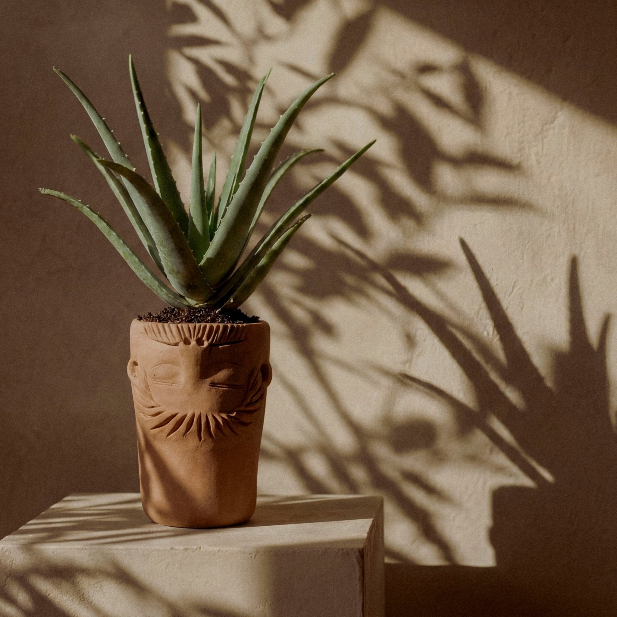 Vases 7