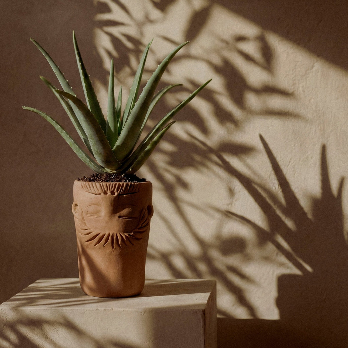Vases 7