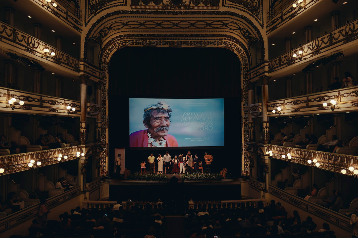Documentary screening