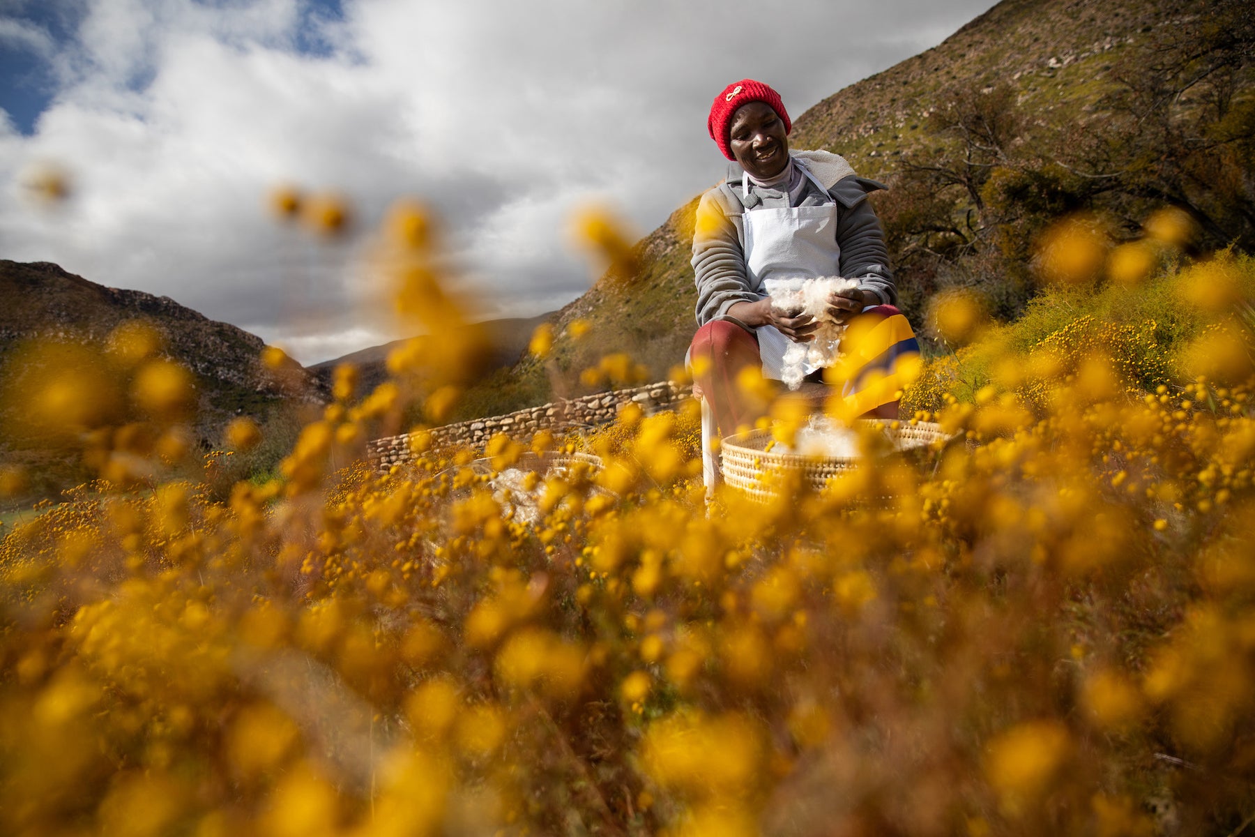 Yellow flowers surrounds a weaver. They are looking through material.