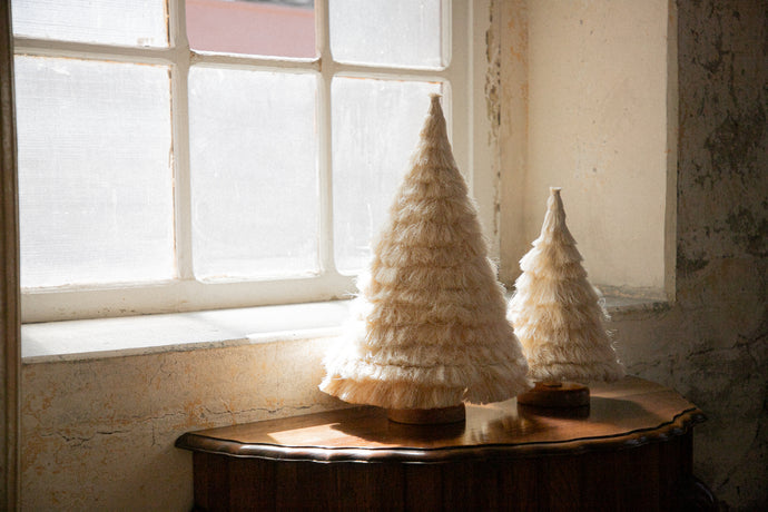 Two christmas tree shaped sansevieria fibre sculptures in front of a sunlit window.