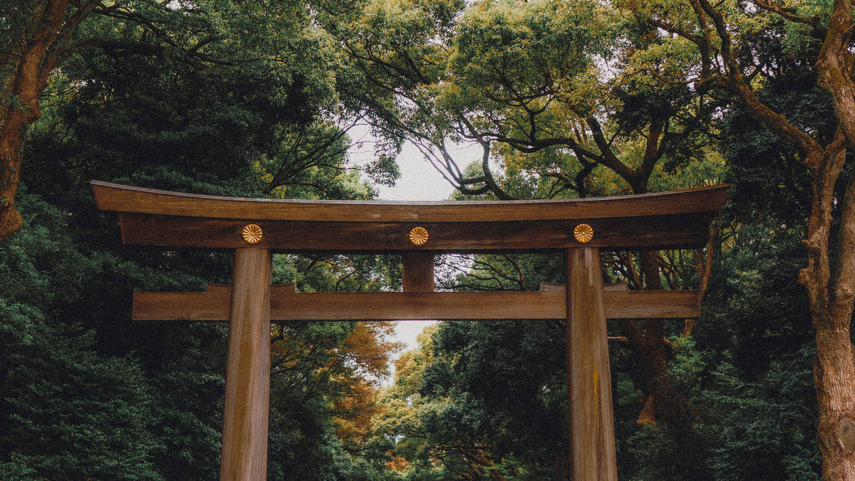 <p>JAPAN</p>