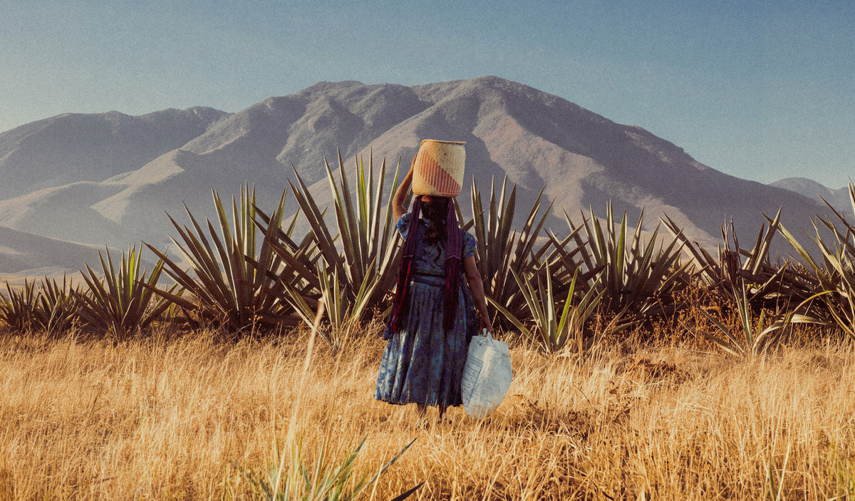 THE MEXICO GIFT GUIDE
