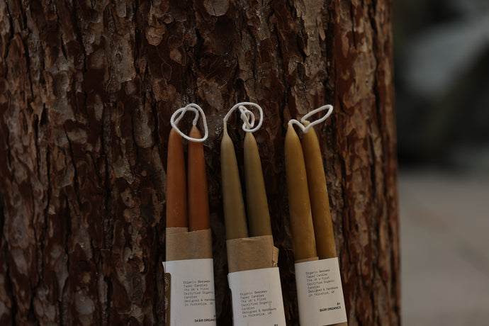 OBKI8537 (1) (2).jpg__PID:ba8b454e-7988-4134-8051-8737817998a2