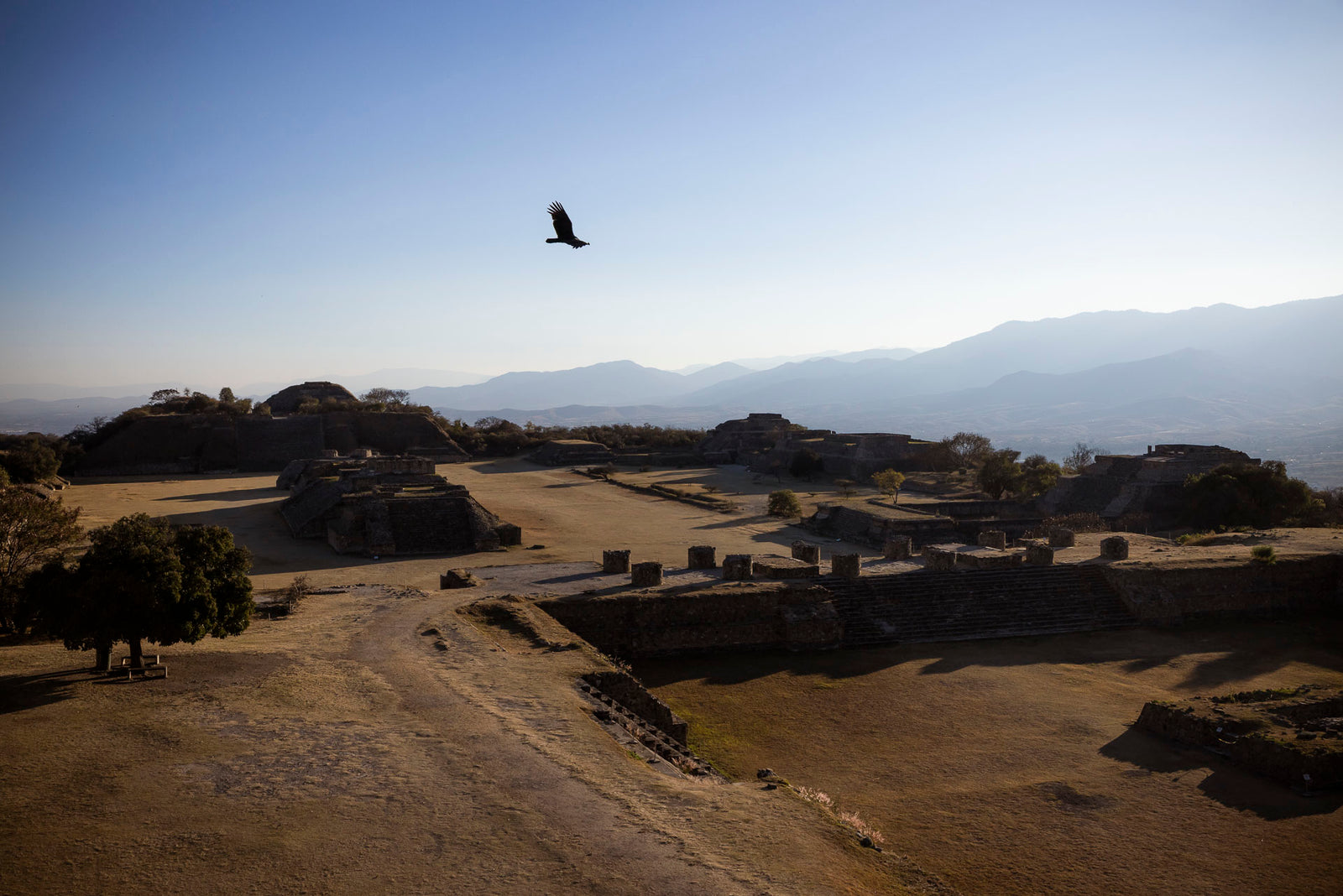 AN EXTRAORDINARY DAY IN OAXACA