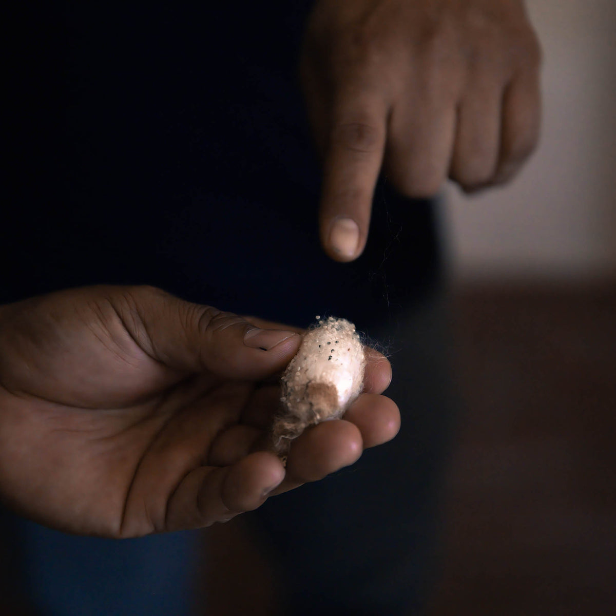 Person holding a small object with a blurred background
