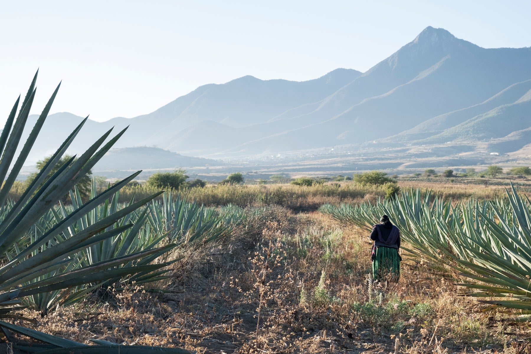 <p>MEXICO</p>