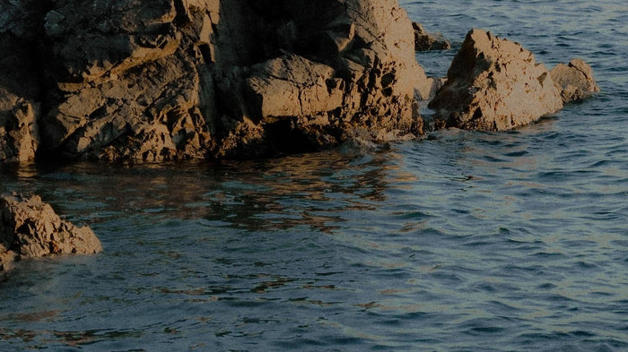 Ocean Blue & Soft Browns