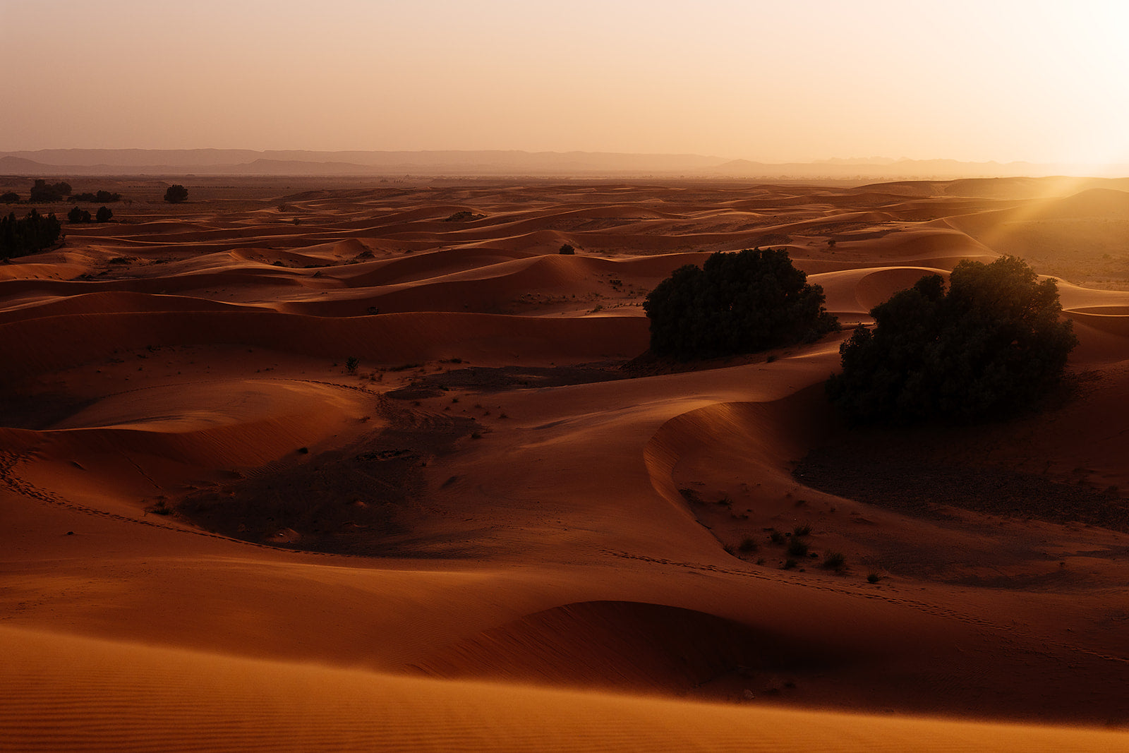 the morocco gift guide
