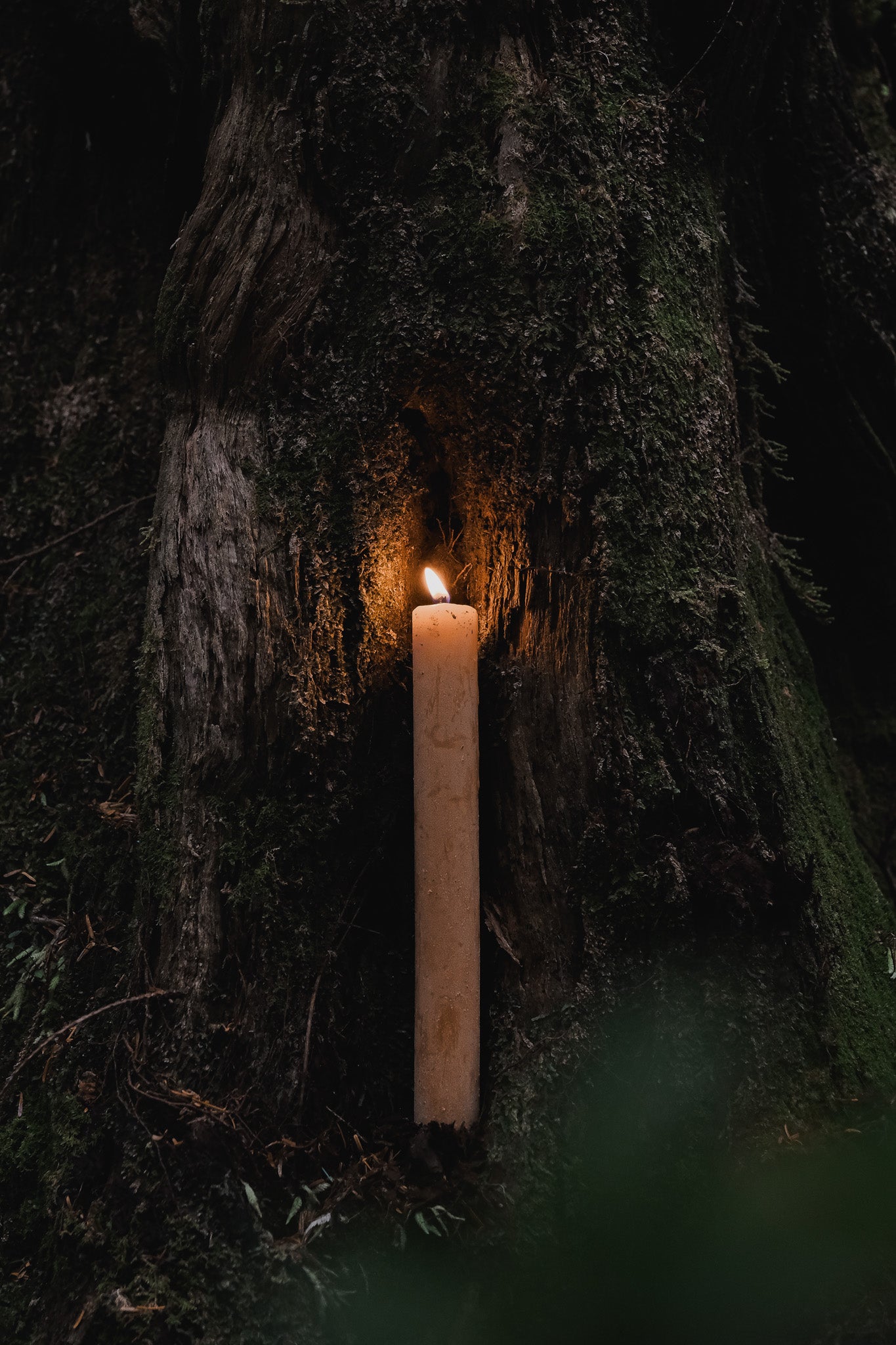 <p><em>BEESWAX </em>CANDLES</p>